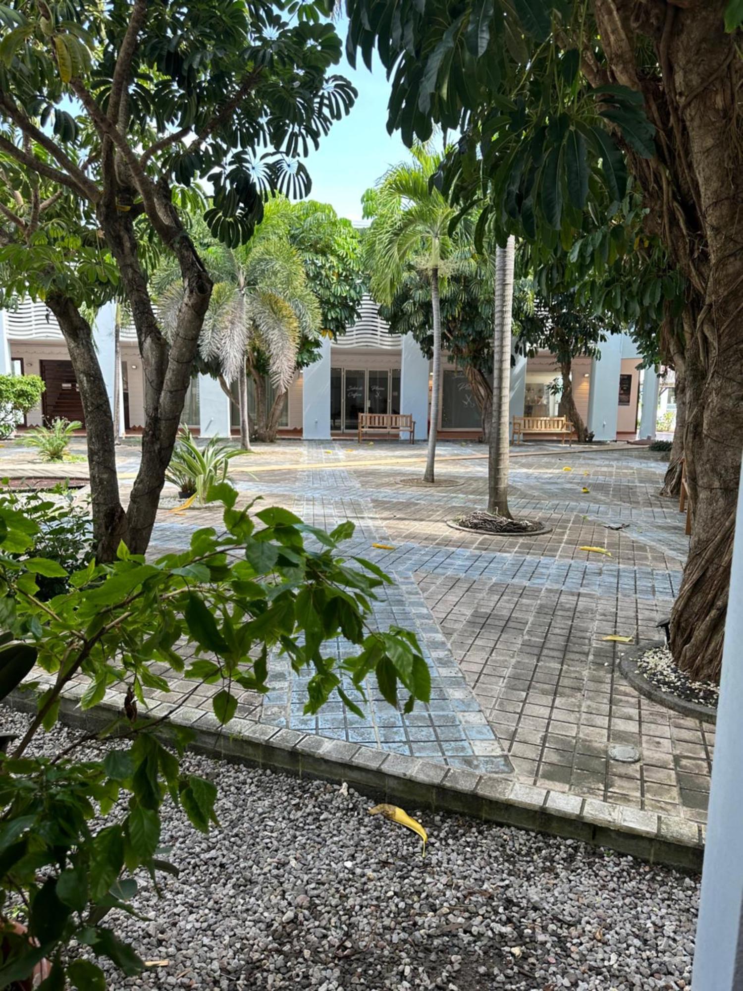 圣弗朗索瓦Tropical Cocooning公寓式酒店 外观 照片